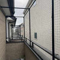 画像1648
