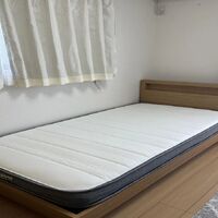 画像2639