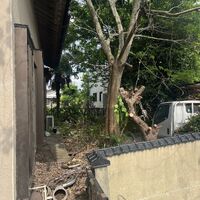 画像2706