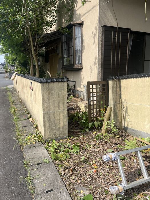 画像2707
