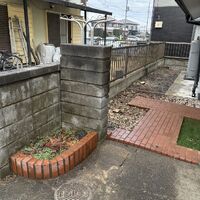 画像2896