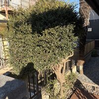画像2897