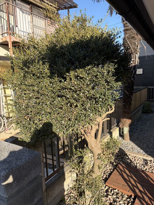 画像2897