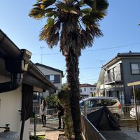 画像2900