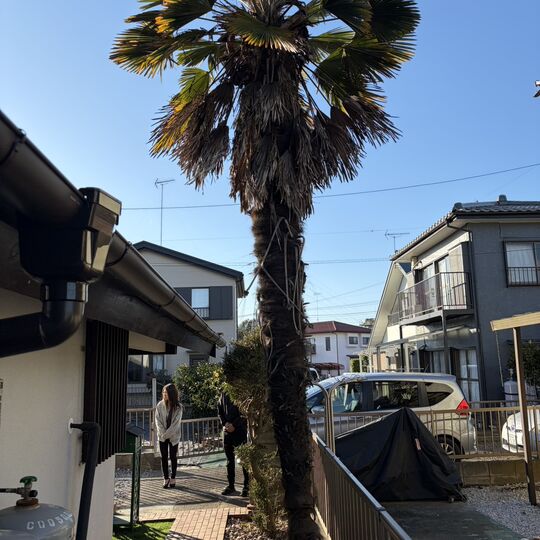 画像2900