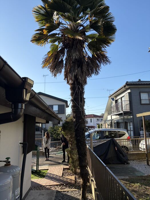 画像2900