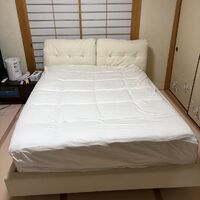 画像2958